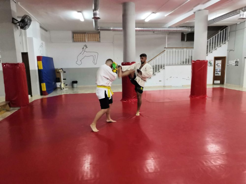 CLASES DE COMBAT SAMBO