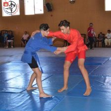 Sambo 1